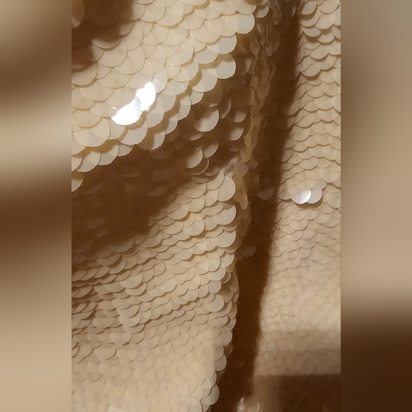 Sequin BCBG Mini Skirt - Picture 2 of 5